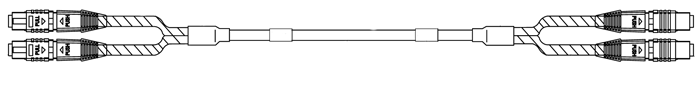 24 Fiber MTP to MTP brand cable detail